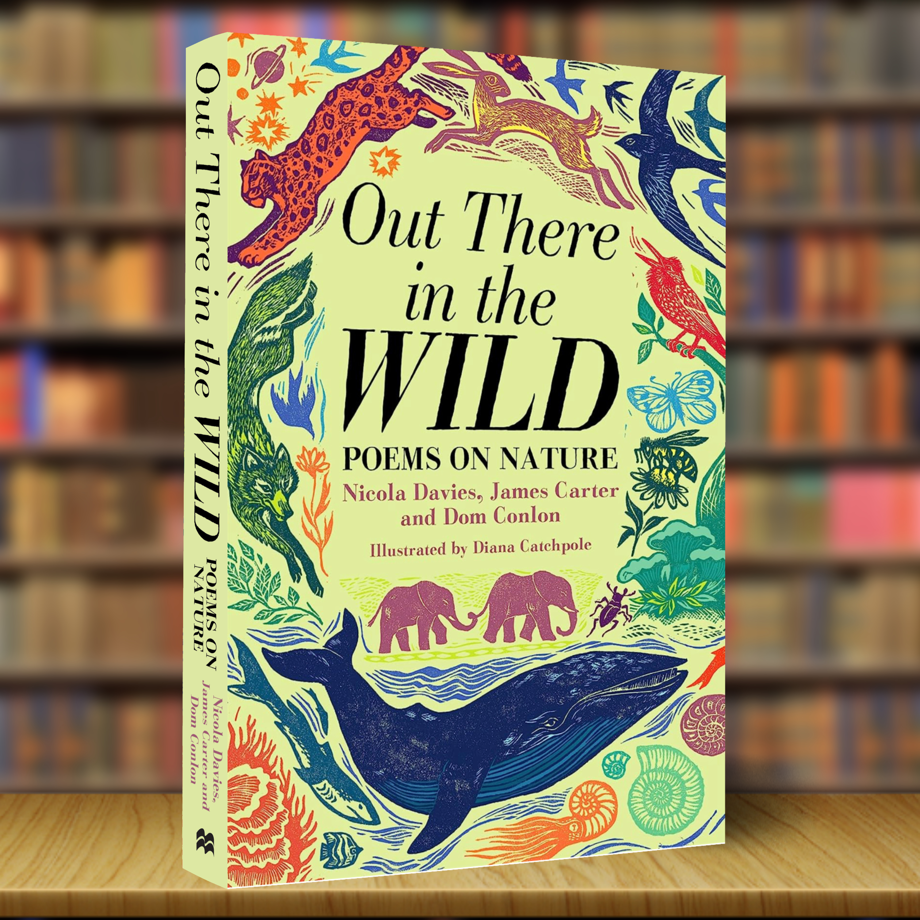 Cover image for Out There In The Wild